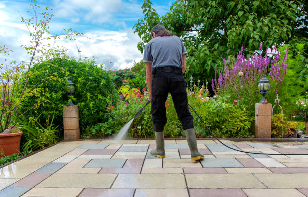 Best Sidewalk and Walkway Cleaning  in Key West, FL